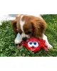 Lanco Pets - Hundespielzeug - Zahnspielzeug Spinne Produktbild-Vorschau 3