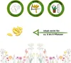 Zitronengurke Lemon Samen - Cucumis sativus - Gurkensamen - Produktbild-Vorschau 2