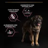 PRO PLAN CANINE ADULT ROBUST DERMA GROß 14KG Anteprima dell’immagine prodotto 2