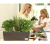 Greenbar® Kräuterkasten, für 3 Kräutertöpfe, mit Produktbild-Vorschau 11