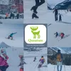Qunature Winter Skihandschuhe Schnee/Snowboard Handschuhe Produktbild-Vorschau 7