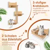 COSTWAY 6 PCS Mur d'escalade pour chats, arbre à chat avec Voir les images du produit 5