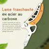 Recalma Coupe-Branches Télescopique 5 m avec Scie Intégrée, Voir les images du produit 9