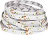 T-LED LED pásek 4,8W/m 12V bez krytí IP20 Economy Barva Náhled obrázku produktu 1