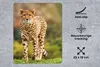 MuchoWow® Mauspad Mousepad Wildtiere - Gras - Leopard - Produktbild-Vorschau 2