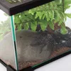 Repti-Zoo Terrarium AK 21x31x15 Repti-Zoo Produktbild-Vorschau 3
