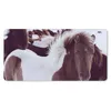 MuchoWow® Mauspad Mousepad Pferd - Schnee - Weiß 60x30 cm - Produktbild-Vorschau 1