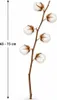 Baumwollzweig Natur 65–75cm - Getrocknet - 6 Dolden - Boho Produktbild-Vorschau 2