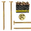 CT 50x viti da costruzione 8x160mm T40 testa a disco viti Anteprima dell’immagine prodotto 1