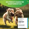 Greenyp® Sport I strapazierfähiger Sport-& Spielrasen I Produktbild-Vorschau 7