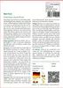 SAFLAX - Wermut - Artemisia absinthum - 500 Samen Produktbild-Vorschau 3
