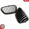 ESEN SKV 66SKV177 Kühlergrill Frontgrill für BMW 5 GT (F07) Produktbild-Vorschau 5