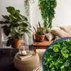 Fiori artificiali, fiori di eucalipto verde, decorazione da Anteprima dell’immagine prodotto 12