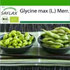 SAFLAX - BIO - Fazuľa - Edamame - Glycine max (L.) Merr. - Náhľad obrázku produktu 10