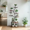 A multi-tiered plant stand with integrated grow lights is displayed in a well-lit room, showcasing various potted plants on its shelves. Produktbild-Vorschau