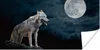 MuchoWow® Poster Wolf - Mond - Nacht - Tiere - Porträt Produktbild-Vorschau 1