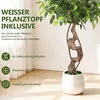Ikodm umelá rastlina Ficus, výška 150 cm, nevyžaduje Náhľad obrázku produktu 7
