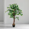 3.08 Dekorativní rostlina 115cm - Model: Benjamini (široká) Náhled obrázku produktu 4