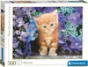 Puzzle 500 elementów High Quality Collection Rudy kotek Anteprima dell’immagine prodotto 7