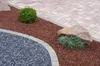 A landscaped garden bed with different types of ground cover and plants. Produktbild-Vorschau