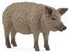 Farm World: Cerdo Wollschwein Vista previa de la imagen del producto 1