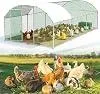 ROSEJANE Bogen-Hühnergehege 3 x 6 x 2 m, Hühnerauslauf mit Produktbild-Vorschau 2
