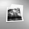 Poster - Poster ohne Rahmen - Wald Kiefer Sonne - 50x70 cm Produktbild-Vorschau 3