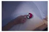 Pokémon Go Plus (+) Produktbild-Vorschau 6