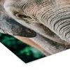 MuchoWow® MuchoWow® Gerahmtes Poster Elefant - Porträt - Produktbild-Vorschau 7