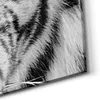 DEQORI Glasbild Echtglas 100x50 cm 'Blick des Tigers' Produktbild-Vorschau 5