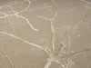 A close-up view of a textured rug with a branching pattern. Produktbild-Vorschau