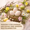 Truthahneier Deko Natur 12 Stk 5–6 cm, Ostereier zum Produktbild-Vorschau 4