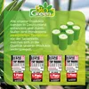 BioGreen 6er-Set ökologische Kerzen aus REWAX-Biomasse für Produktbild-Vorschau 6