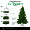 Black Box Trees Brampton Weihnachtsbaum - Weihnachten Produktbild-Vorschau 6