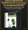 A grow tent with a plant inside, showcasing its features and benefits. Produktbild-Vorschau