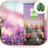 Rhododendronerde 20 l - Hochwertig - Nährstoffreich - Für Produktbild-Vorschau 6