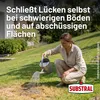 SUBSTRAL Magisches Rasenpflaster 3,6 kg Produktbild-Vorschau 9