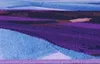 Disney Home Tapis pour enfants - Tapis de jeu pour chambre Voir les images du produit 3