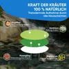 Wellpursan Tinnitus Stop Patch (1 x 24 Stück) Produktbild-Vorschau 3