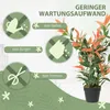 HOMCOM - Arbuste décoratif artificiel "Cotoneaster" (Mispel Voir les images du produit 4