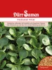 Artikelbild 1 von 'Feldsalat Polar' aus der Kategorie Feldsalatsamen Produktbild-Vorschau