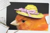 MuchoWow® Schreibtischunterlage Vogel - Hut - Orange 60x40 Produktbild-Vorschau 5