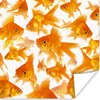 MuchoWow® Poster Goldfisch - Weiß - Fisch 75x75 cm - Wand Produktbild-Vorschau 1
