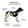 Treatsy Probiotika, Präbiotika, Postbiotika & Psyllium für Produktbild-Vorschau 3