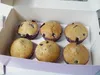 FunCakes Muffin- und Cupcake-Schachtel - Pure- 24 x 16 x 8 Produktbild-Vorschau 10