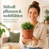 Pflanztopf Fiona Terrakotta Ø 20cm - Frostsicher & Produktbild-Vorschau 4