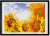 Bild - Bilder - Bilderrahmen - 70 cm x 50 cm - MDF-Rahmen, Produktbild-Vorschau 1