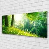 Acrylglasbilder 125x50 Wandbild Druck Wiese Natur Produktbild-Vorschau 2
