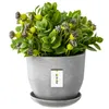 Keramische pot, plantenpot, bloempot, overpot, plantenbak, Productafbeelding-voorbeeld 1