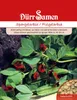 Spargelerbse | Spargelerbsensamen von Dürr Samen Produktbild-Vorschau 1